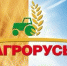 Для начинающих коммерсантов Брянщины проведут тренинг - Газета Ударник