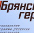 Директор ГАУ «Брянский объединённый ресурс» Елена Болох поделилась мнением о проекте «Брянские герои» - Газета Ударник